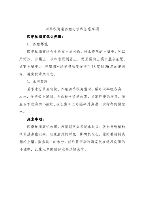 四季秋海棠养殖方法和注意事项