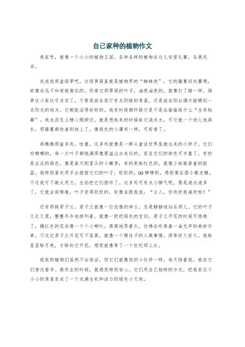 自己家种的植物作文