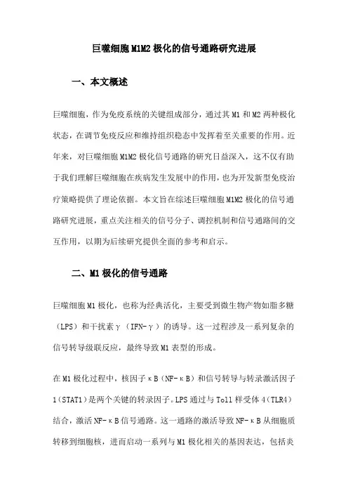 巨噬细胞M1M2极化的信号通路研究进展