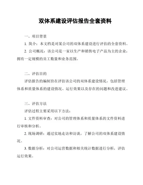 双体系建设评估报告全套资料