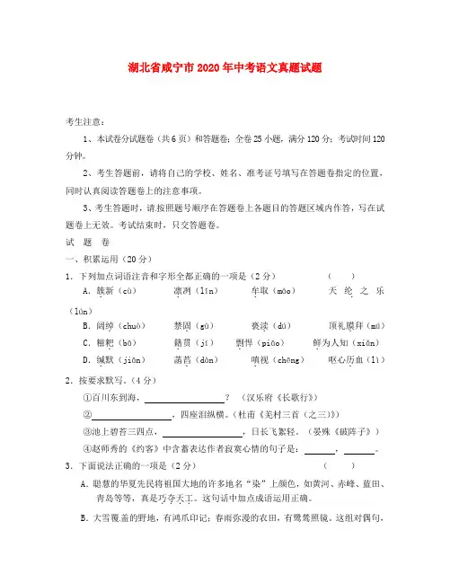 湖北省咸宁市2020年中考语文真题试题(含答案)