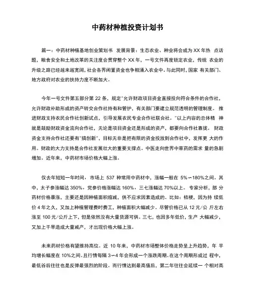 中药材种植投资计划书