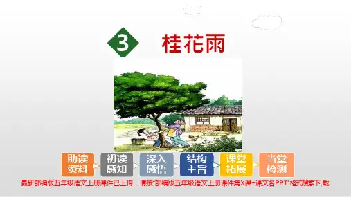 部编版五年级语文上册ppt课件第3课桂花雨