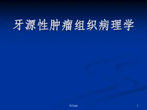 牙源性肿瘤组织病理学