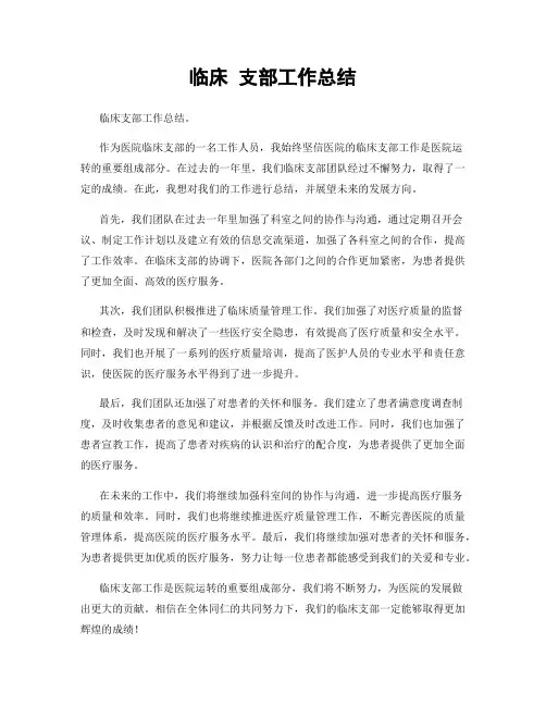 临床 支部工作总结