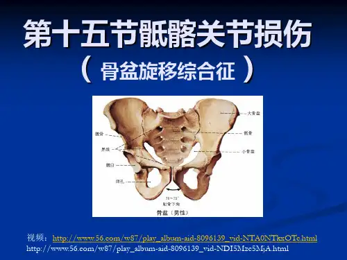 第十三节骶髂关节扭伤PPT课件