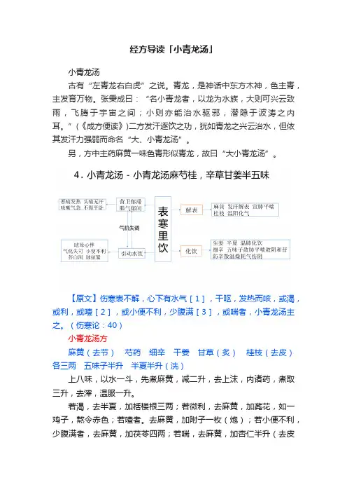 经方导读「小青龙汤」
