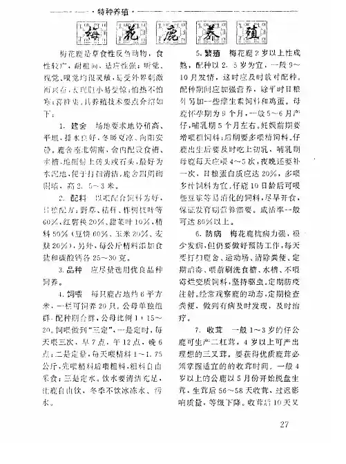 梅花鹿养殖