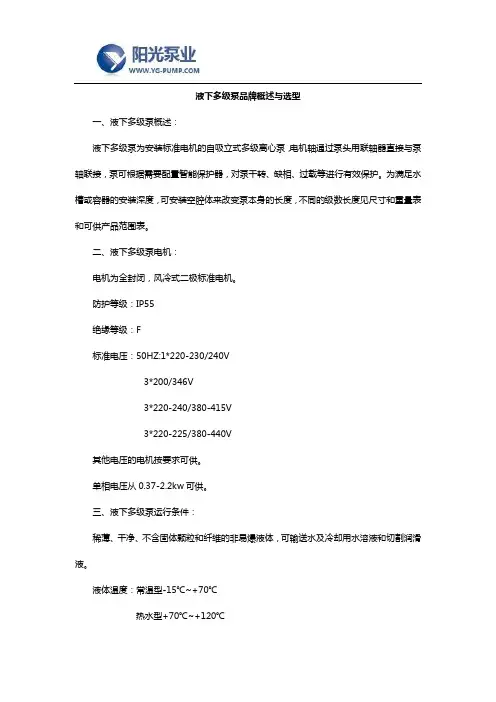 液下多级泵品牌概述与选型
