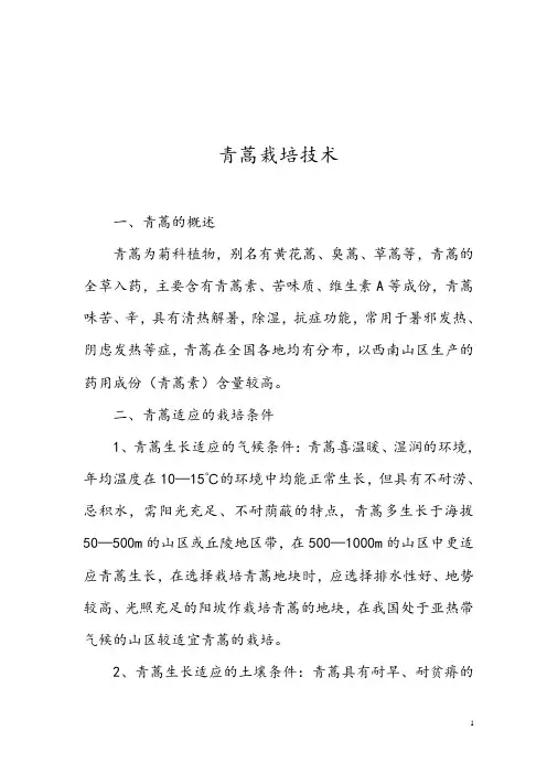 青蒿栽培技术