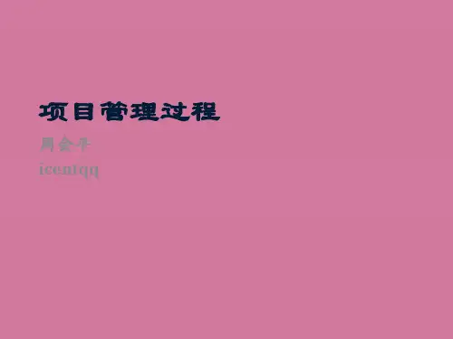 第01讲 项目管理过程ppt课件