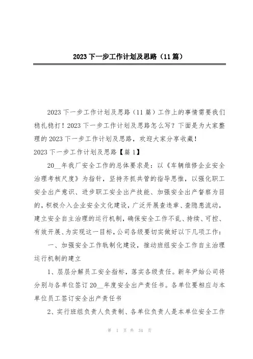 2023下一步工作计划及思路(11篇)