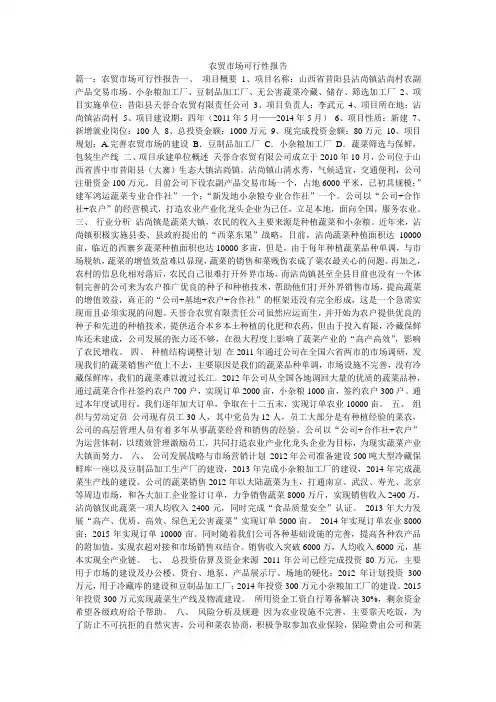 农贸市场可行性报告