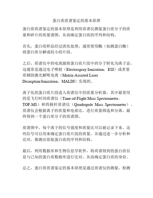 蛋白质质谱鉴定的基本原理