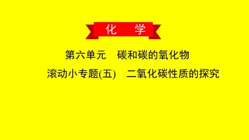 二氧化碳性质的探究(习题课)