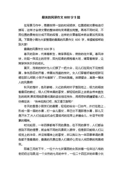 最美的风景作文600字5篇