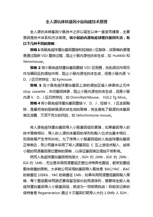 全人源抗体转基因小鼠构建技术原理