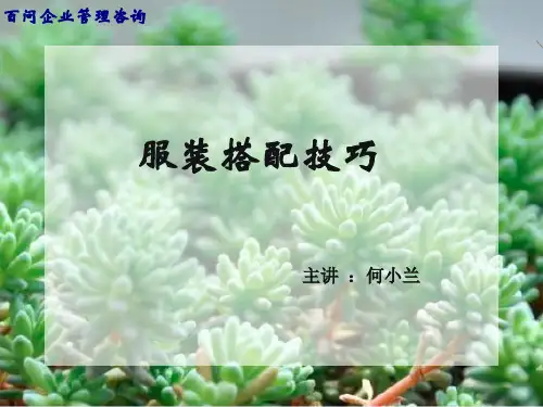 服装搭配技巧培训课件(ppt 40页)