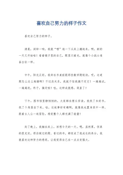 喜欢自己努力的样子作文