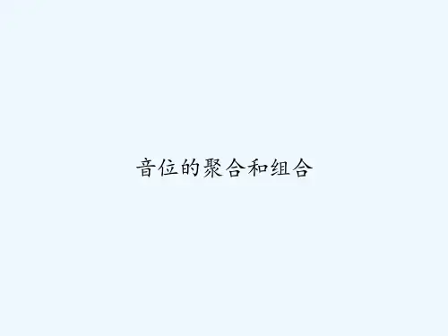 音位的聚合和组合 PPT