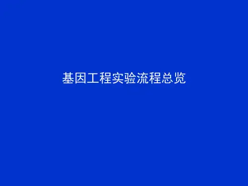 基因工程实验流程