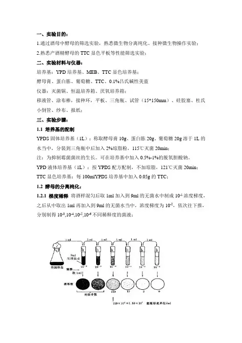 实验一 酵母菌株的筛选分离