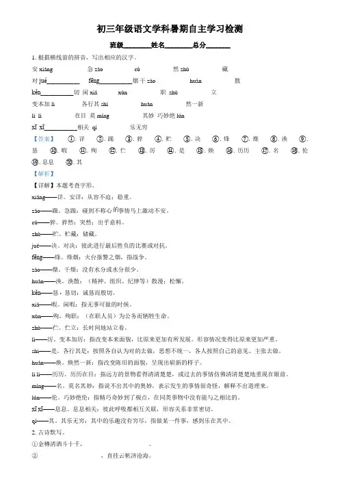 精品解析：北京市育才学校2024-2025学年九年级上学期开学考试语文试题(解析版)