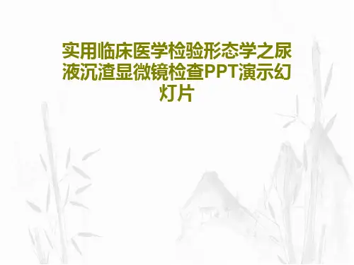 实用临床医学检验形态学之尿液沉渣显微镜检查PPT演示幻灯片PPT文档69页