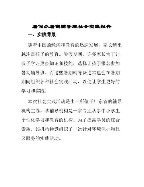 暑假办暑期辅导班社会实践报告