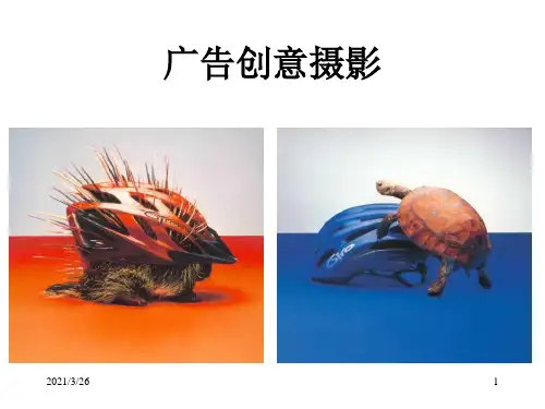 《广告创意摄影》PPT课件