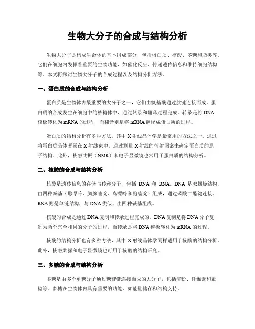 生物大分子的合成与结构分析