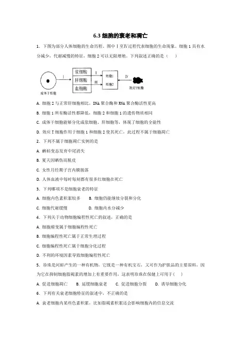 人教版高中生物必修1 6.3细胞的衰老和凋亡 练习1
