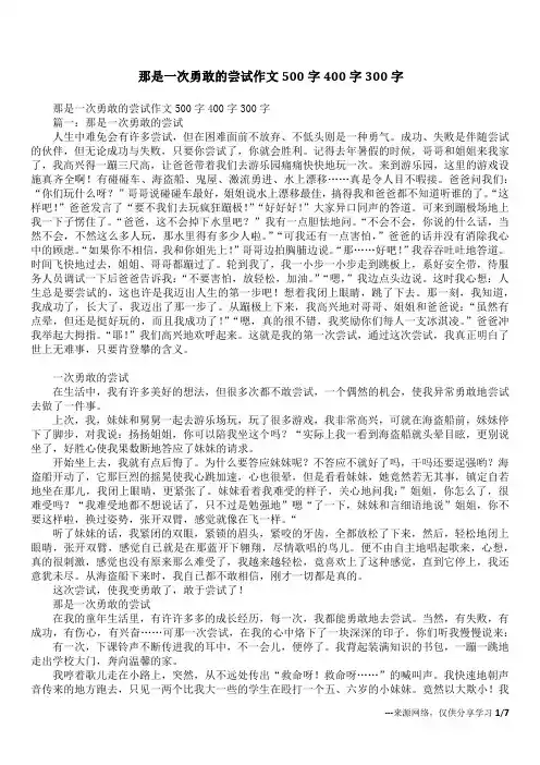那是一次勇敢的尝试作文500字400字300字