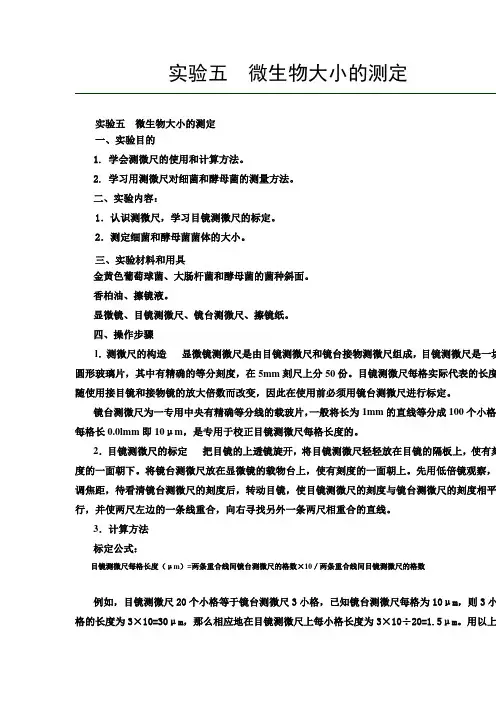 实验五微生物大小的测定