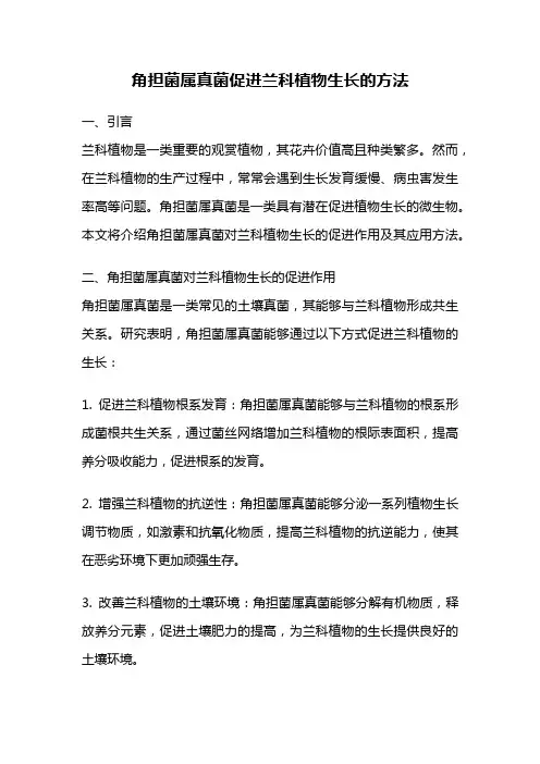 角担菌属真菌促进兰科植物生长的方法