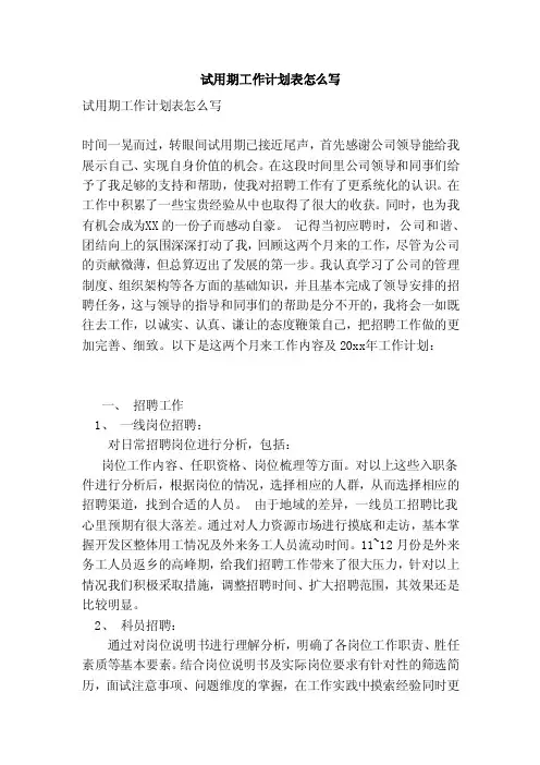 试用期工作计划表怎么写（参考）