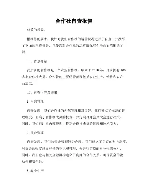合作社自查报告