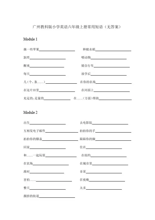广州教科版小学英语六年级上册常用短语