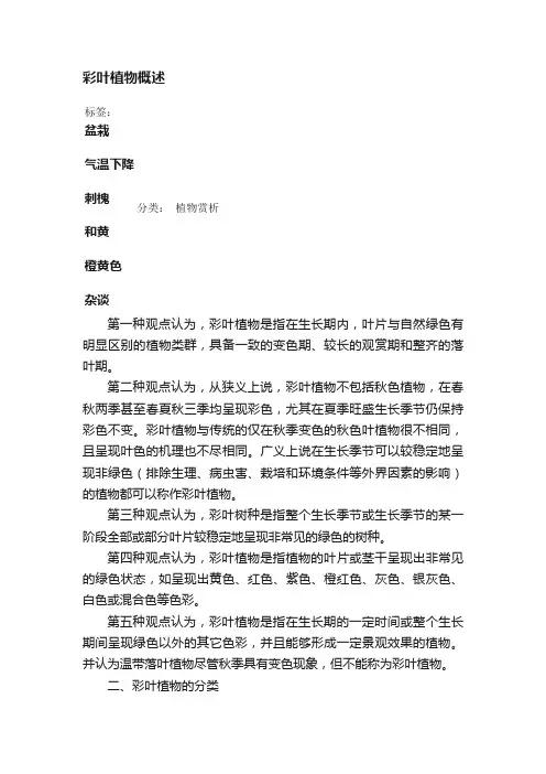 彩叶植物概述