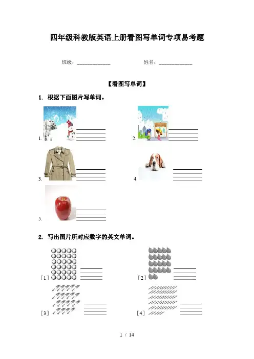 四年级科教版英语上册看图写单词专项易考题
