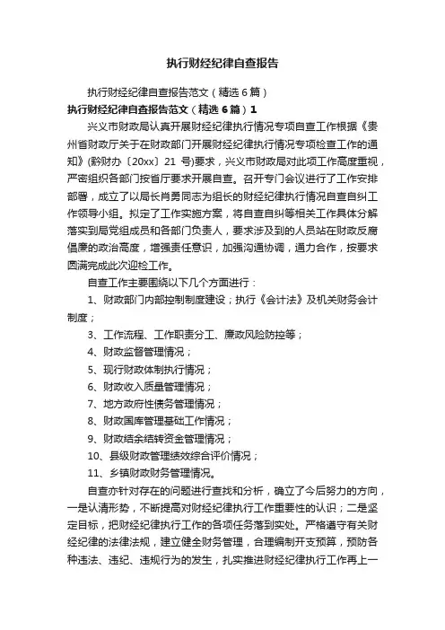执行财经纪律自查报告