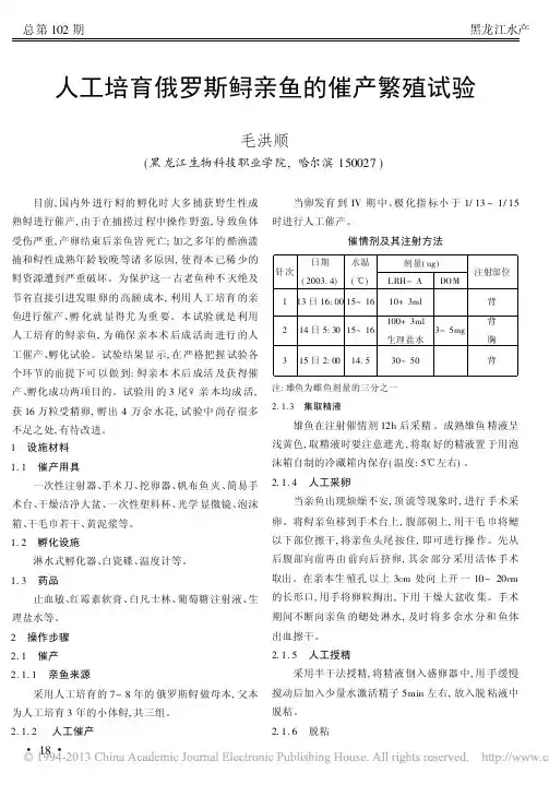 人工培育俄罗斯鲟亲鱼的催产繁殖试验_毛洪顺