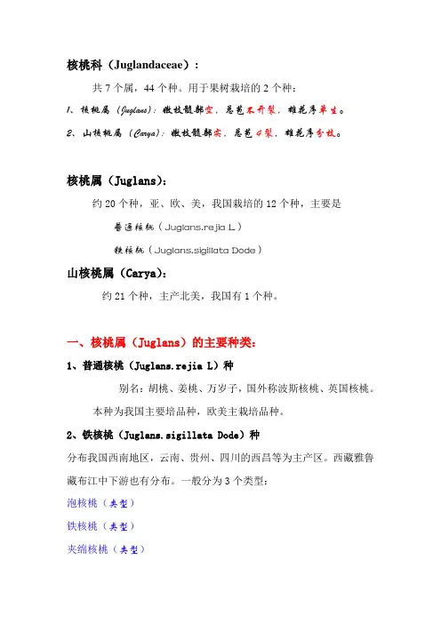 核桃分类
