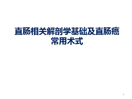 直肠相关解剖学基础及直肠癌常用术式PPT参考幻灯片