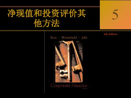净现值和投资评价其他方法.pptx