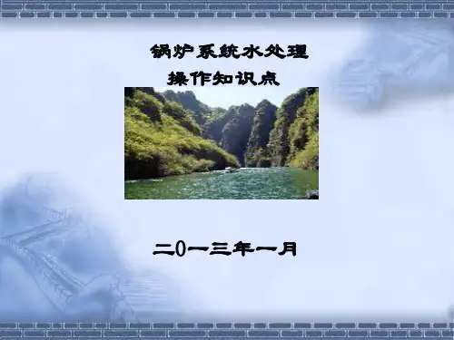 锅炉系统水处理操作知识点