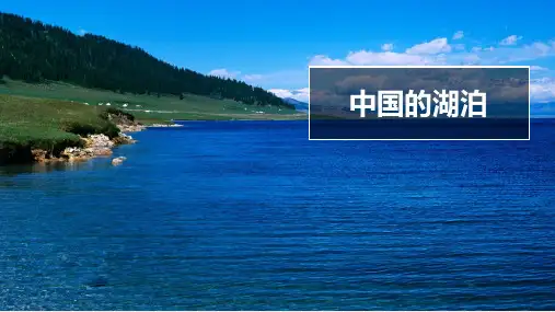 新高考地理一轮复习课件中国的湖泊