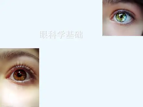 眼科学基础(93页)