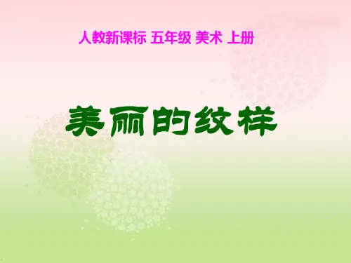 《美丽的纹样》PPT课件