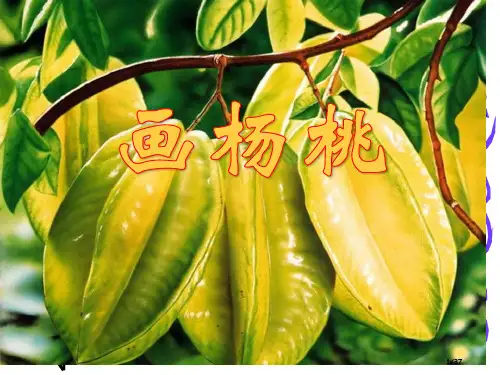 11.《画杨桃》省公开课一等奖全国示范课微课金奖PPT课件